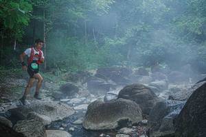 BIB: 
                            <button type="button" onclick="openModal(25108770)" class="btn btn-primary btn-sm float-right btn-popup" data-toggle="modal" data-target=".modal-high-quality">
                        <i class="fas fa-shopping-cart"></i> Add to Cart
                    </button>
                                            <button type="button" onclick="isThisMe(25108770, true)" class="btn btn-success btn-sm float-right btn-popup btn-isme hidden" data-toggle="tooltip" data-placement="bottom" title="นี่คือรูปของคุณใช่ไหม คลิกที่นี่เพื่อเอาเข้าอัลบั้ม">
                        <i class="fas fa-plus"></i> Add to album
                    </button>
                    <button type="button" onclick="isThisMe(25108770, false)" class="btn btn-warning btn-sm float-right btn-popup btn-isnotme hidden">
                        <i class="fas fa-ban"></i> Remove from album
                    </button>